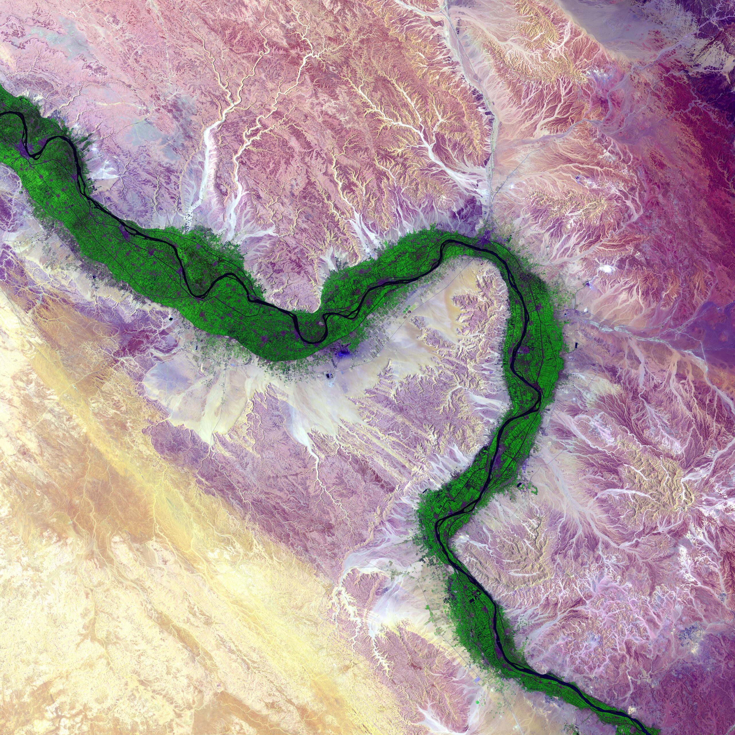 Green farmland marks a distinct boundary between the Nile floodplain and the surrounding desert, seen as brown, yellow, and purple from satellite imagery.