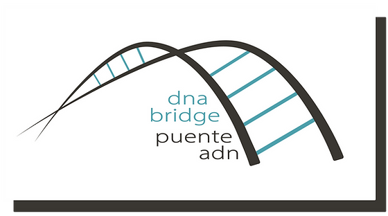 DNA Bridge logo