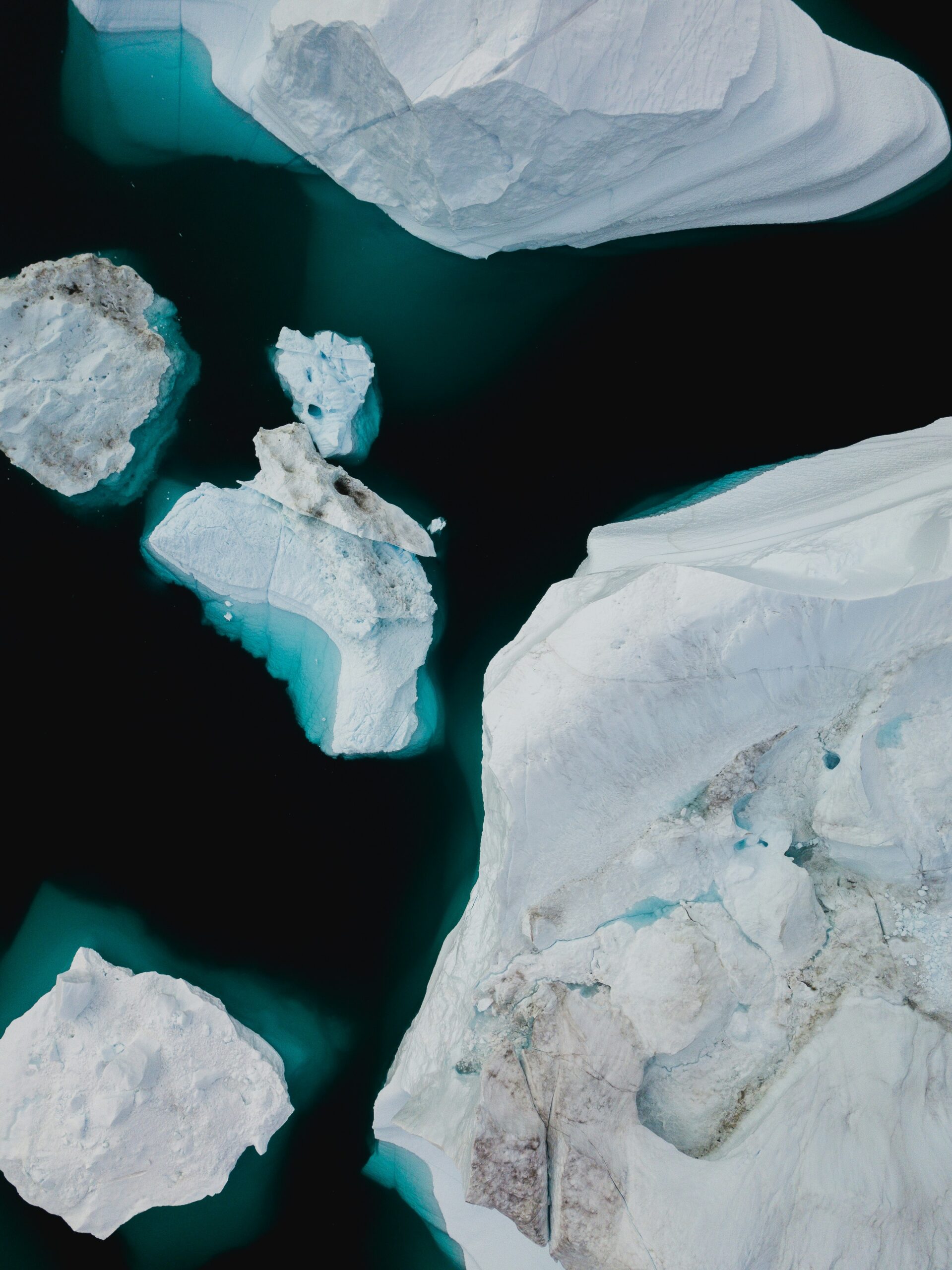 Arctic ice chunks float in water.