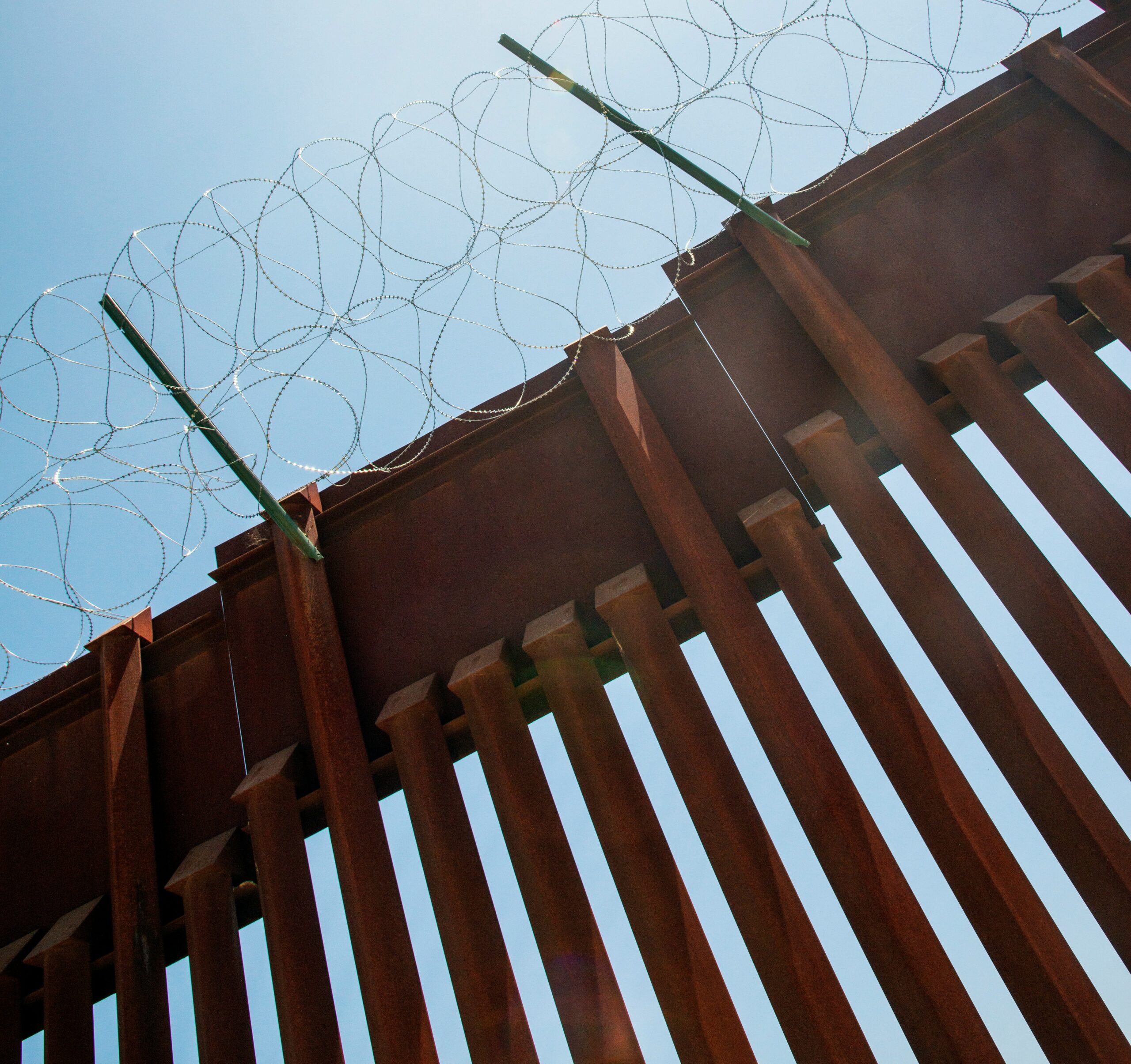 A metal wall is shown with chicken wire at the top. A blue sky is also in view.