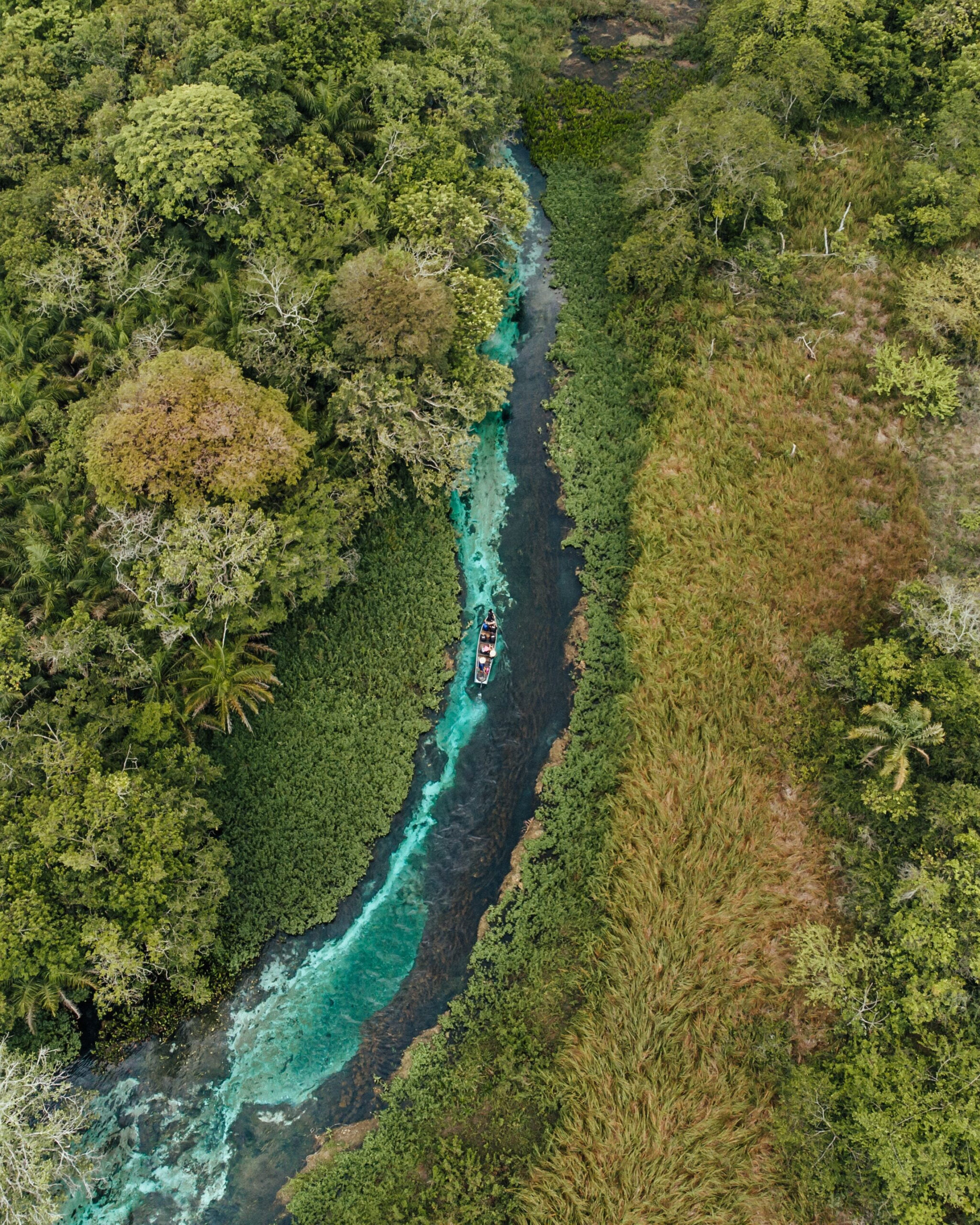 Aerial view of a rainforest and river.
