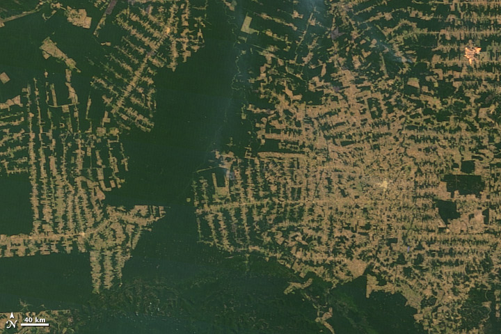 An aerial image depicts deforestation from above, showing brown and green areas.