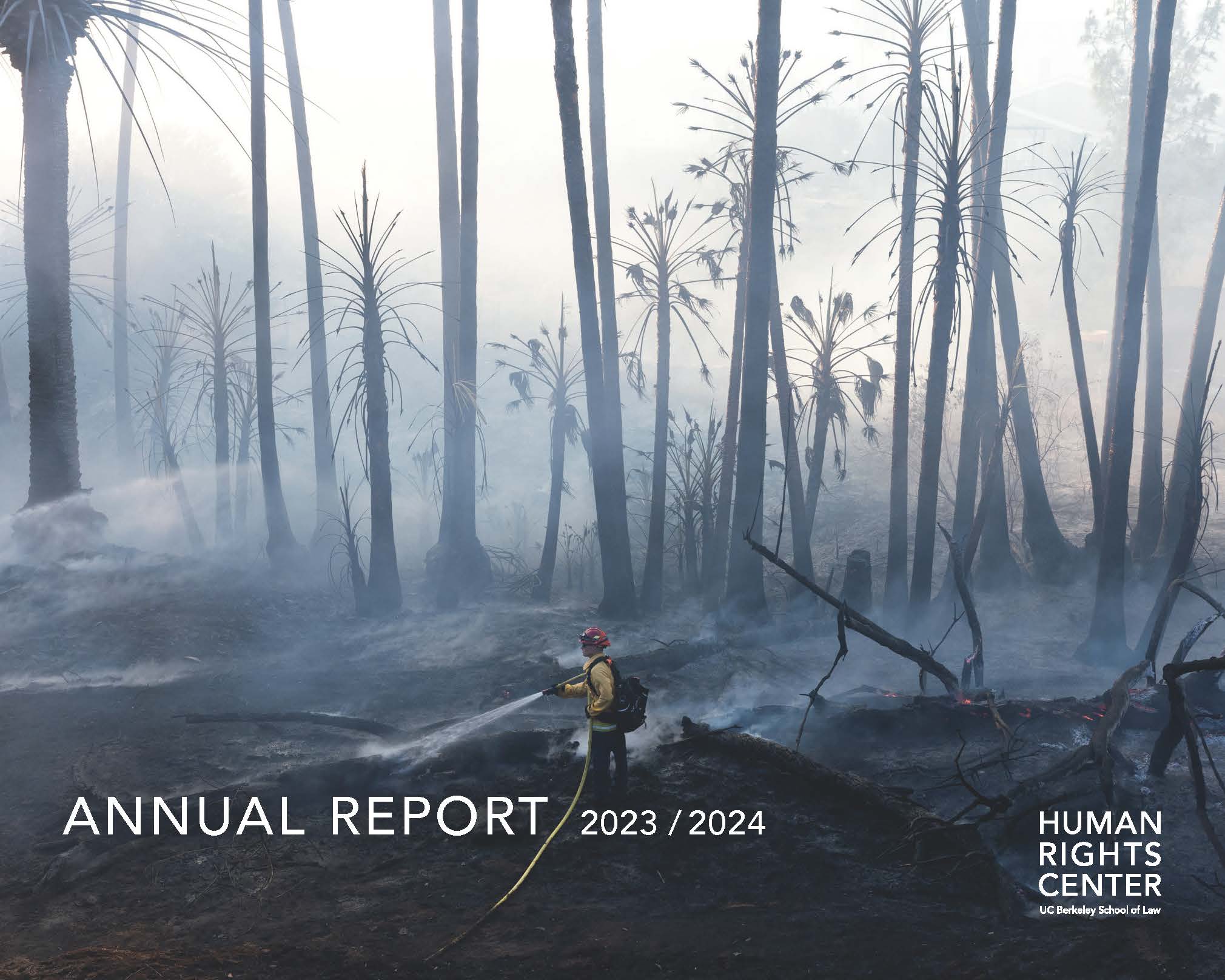 A firefighter blasts water on a smoldering forest.